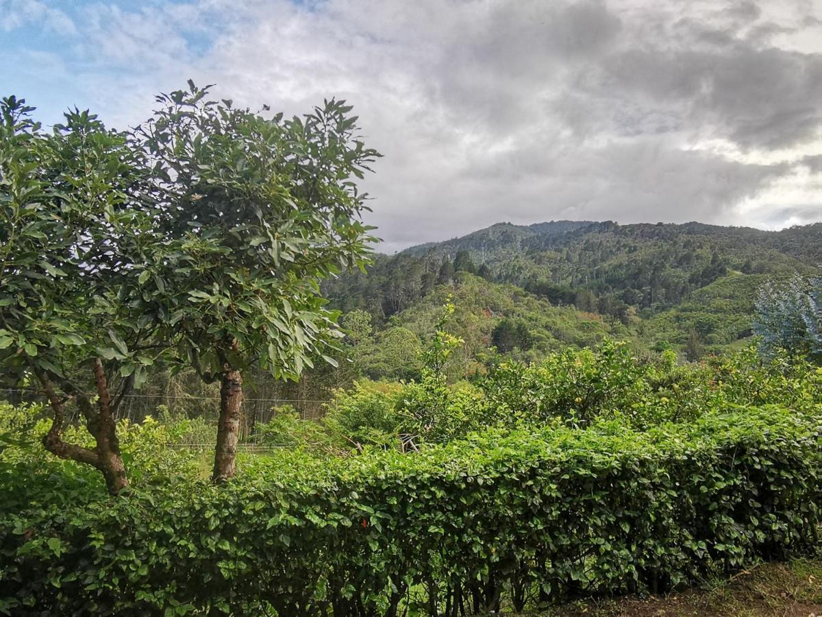 Cabana Hamacas Cartago Exteriér fotografie